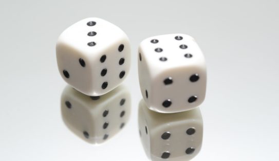 EXAA - Audit et gestion des risques